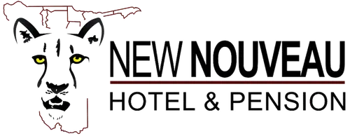 Hotel Pension New Nouveau